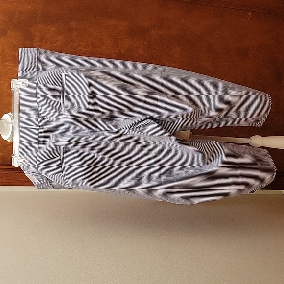 Lane Bryant "The Allie" Blue and White Striped Smart Stretch Crop Pant - size 28 - Picture 6 of 15